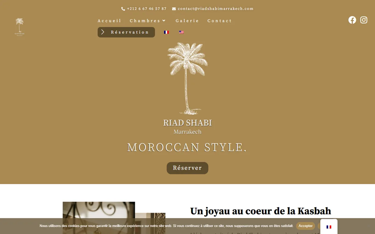 Capture d'écran du site Riad Shabi